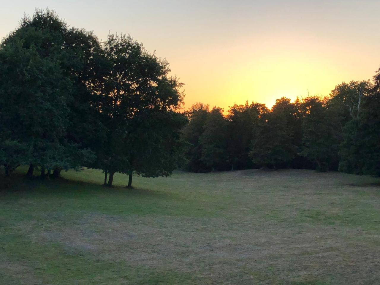 Chateau De Lannouan Landevant Bagian luar foto